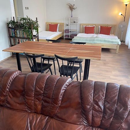 Apartment S Terasou Lysa 拉贝河畔利萨 外观 照片