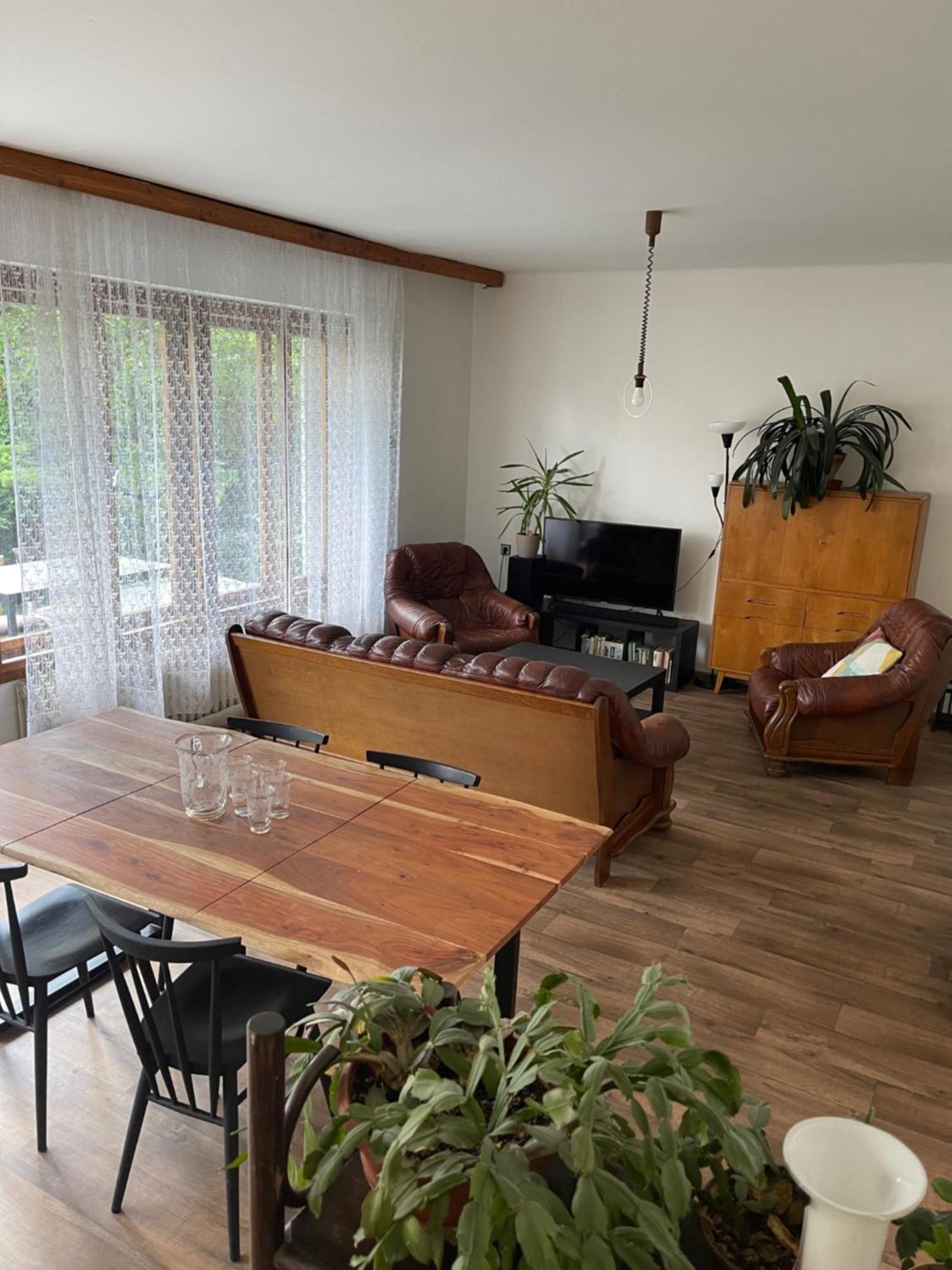 Apartment S Terasou Lysa 拉贝河畔利萨 外观 照片