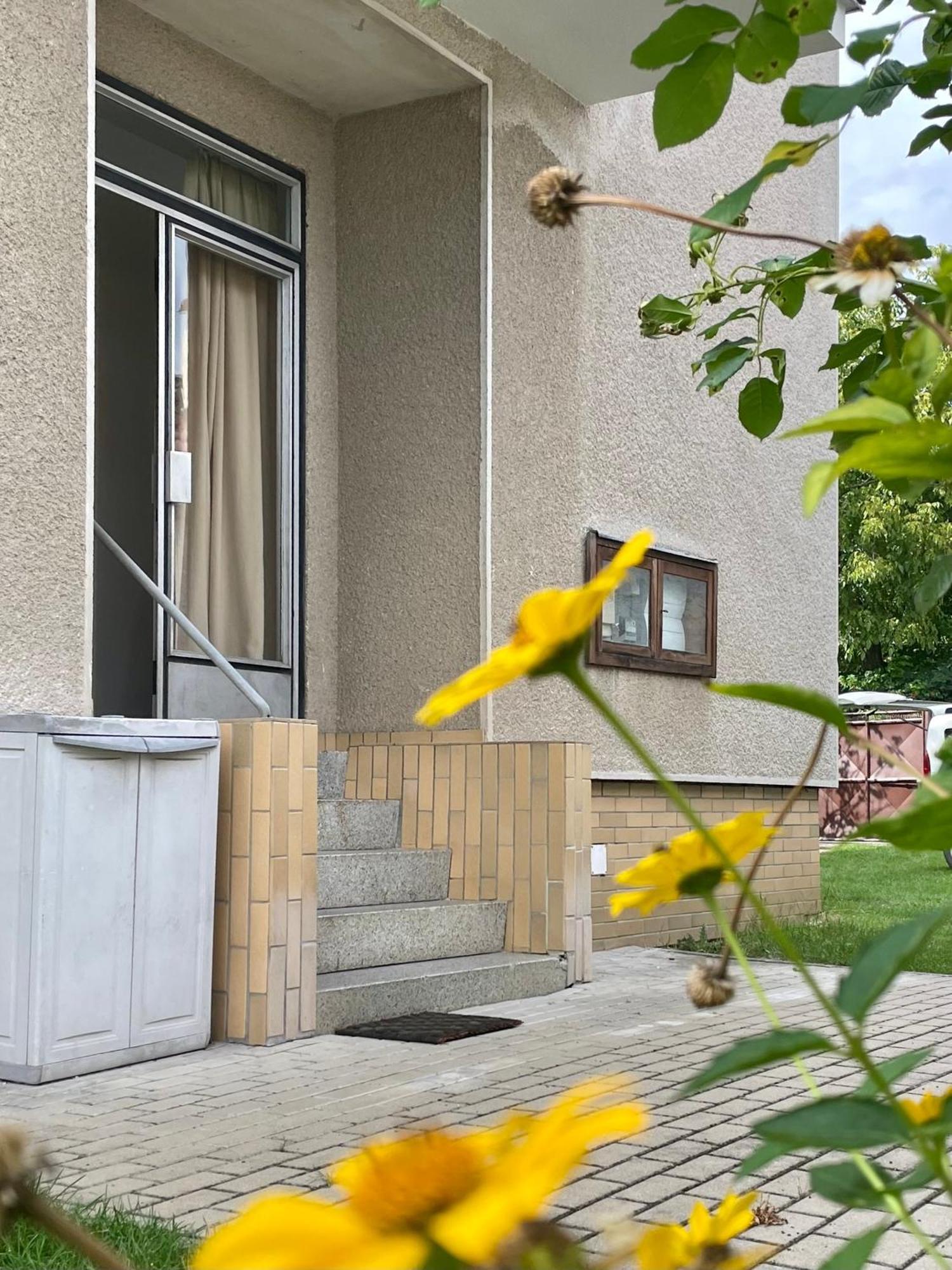 Apartment S Terasou Lysa 拉贝河畔利萨 外观 照片