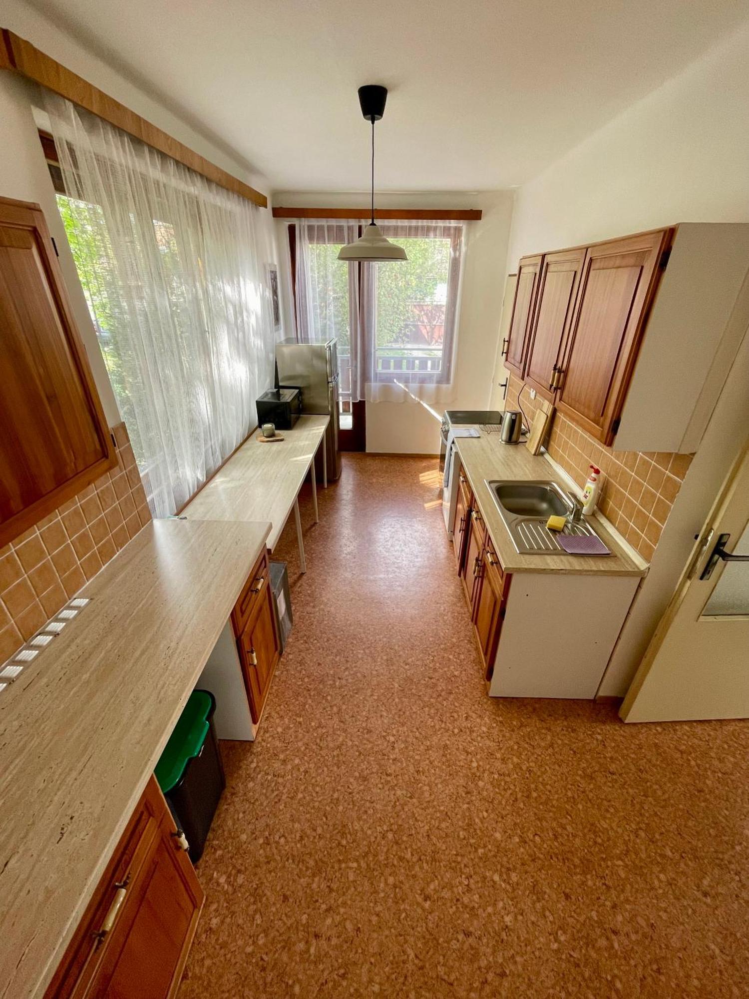 Apartment S Terasou Lysa 拉贝河畔利萨 外观 照片