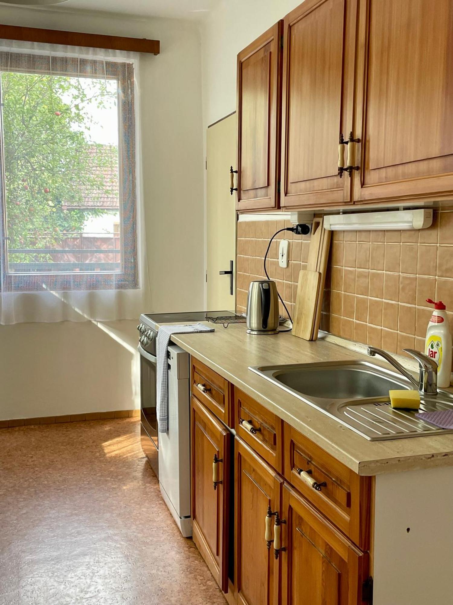 Apartment S Terasou Lysa 拉贝河畔利萨 外观 照片